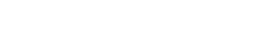 Papa Leone a Rimini