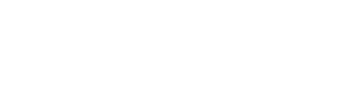 Papa Leone a Rimini